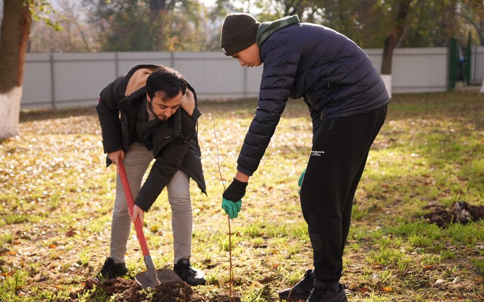 Generation of the Forest: Campaign to Plant 200,000 Trees in Moldova